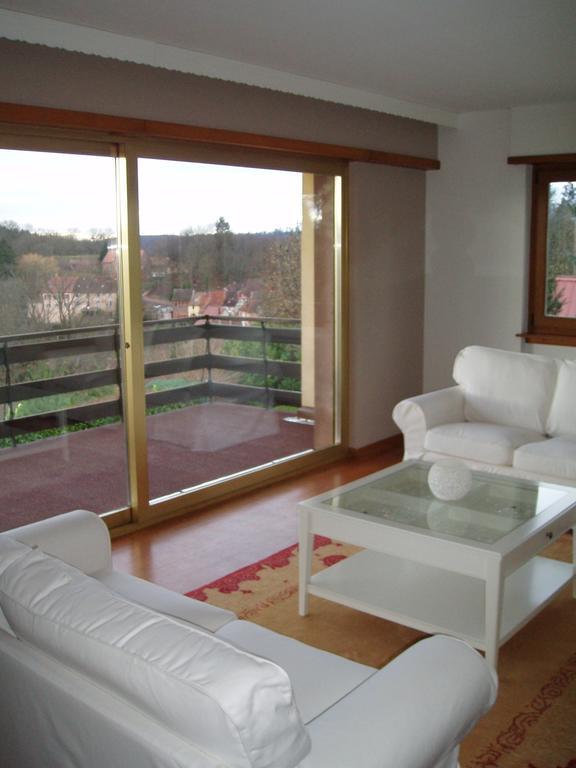 Villa Du Lion D'Or La Petite-Pierre Zimmer foto